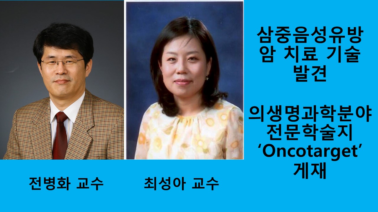 전병화, 최성아 교수팀, 삼중음성유방암 치료기술 개발 사진1