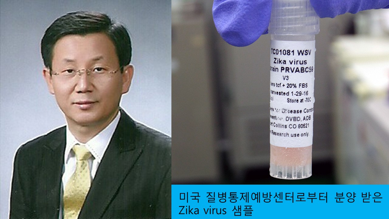 서상희 교수, 지카바이러스 백신 개발 착수 사진