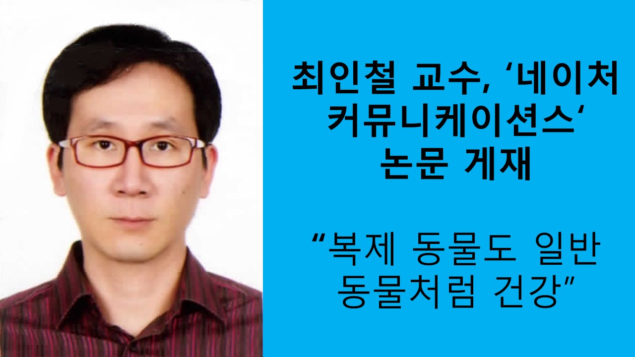 최인철 교수, 국제 공동연구진과 ‘네이처 커뮤니케이션스’ 논문 게재 사진