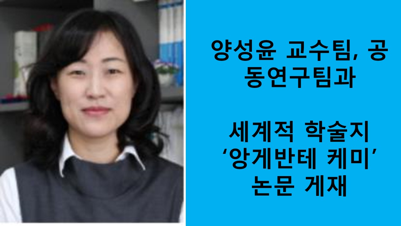 양성윤 교수, 이정훈 학생-효소활성 보호하는 생체활성막 소재 연구 사진