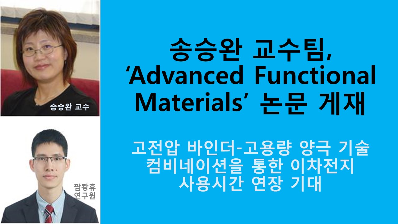송승완 교수팀, 국제저널 ‘Advanced Functional Materials’ 논문 게재 사진1