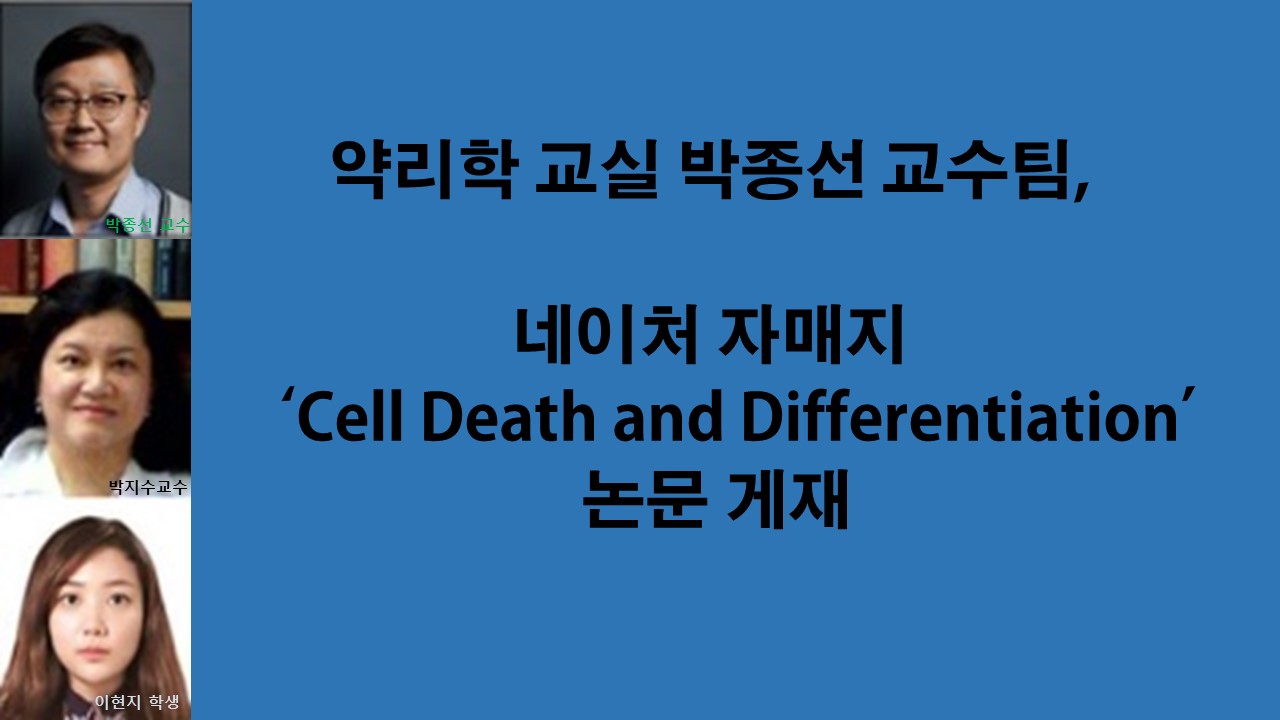 박종선 교수팀, 네이처 자매지 「Cell Death and Differentiation」게재 사진1