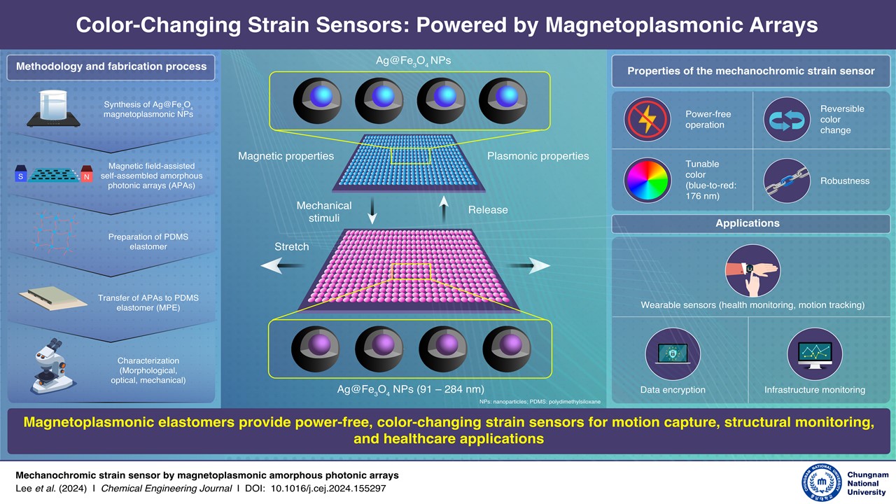 CNU Researchers Develop Power-Free Color-Changing Strain Sensor 이미지