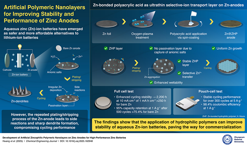 CNU Researchers Develop Next-Gen Zinc Batteries: Artificial Polymer Nanolayers Improve Zinc Battery Stability 사진