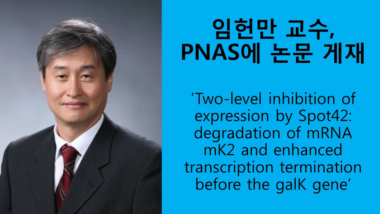 임헌만 교수, PNAS에 논문 게재 사진1