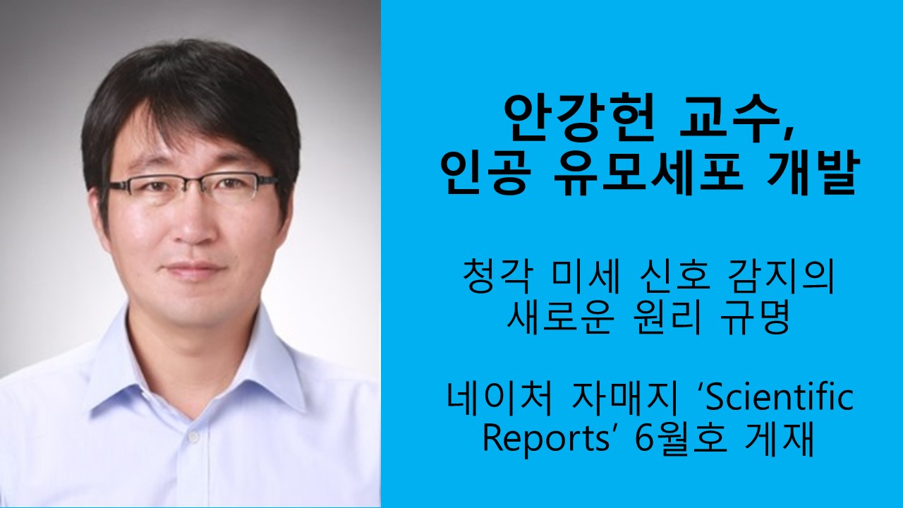 안강헌 교수 연구팀, 인공 유모 세포 개발 사진1