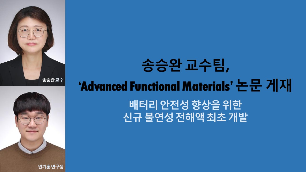 송승완 교수팀, ‘Advanced Functional Materials’ 논문 게재 사진1