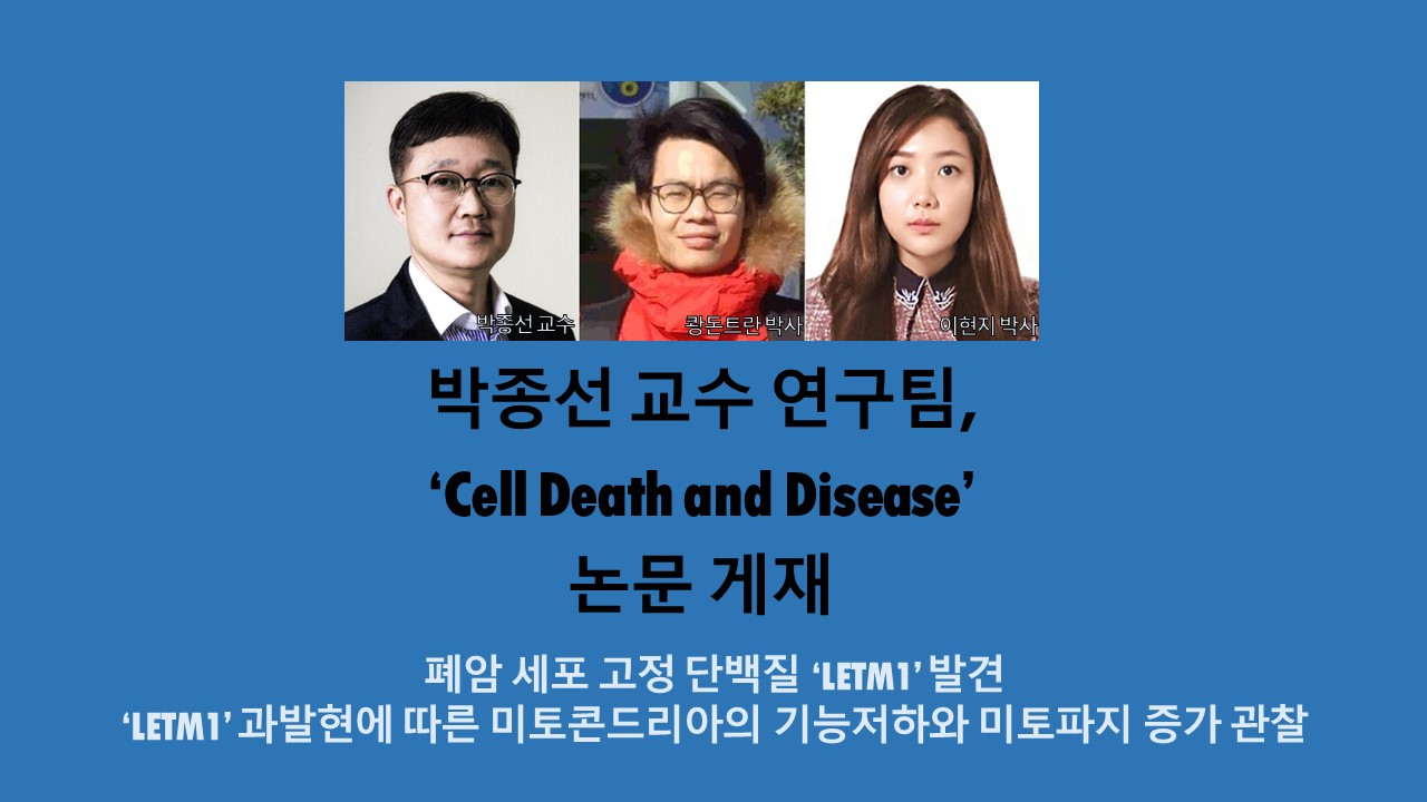 박종선 교수 연구팀, ‘Cell Death and Disease’ 논문 게재 사진1