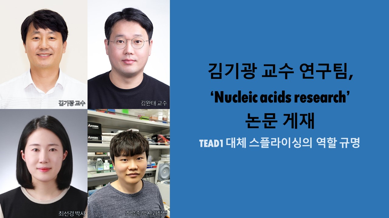 김기광 교수 연구팀, ‘Nucleic acids research’ 논문 게재 사진1