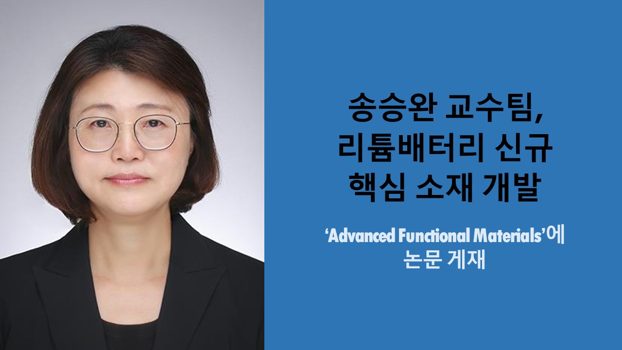 송승완 교수팀, 리튬배터리 신규 핵심 소재 개발 사진