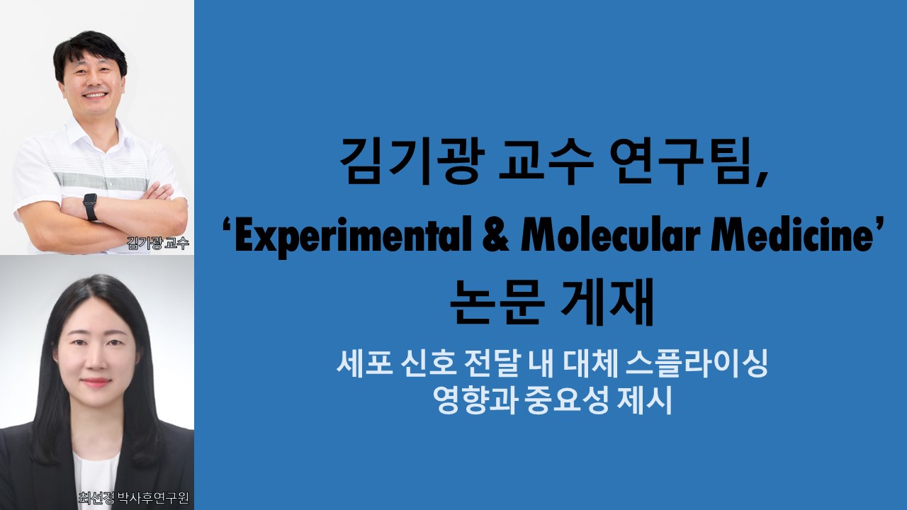 김기광 교수 연구팀, ‘Experimental & Molecular Medicine’ 논문 게재 사진