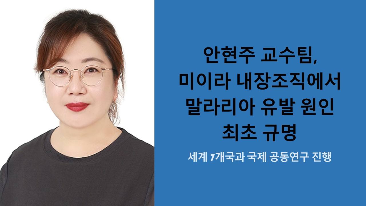 안현주 교수팀, 미이라 내장조직에서 말라리아 유발 원인 최초 규명 사진