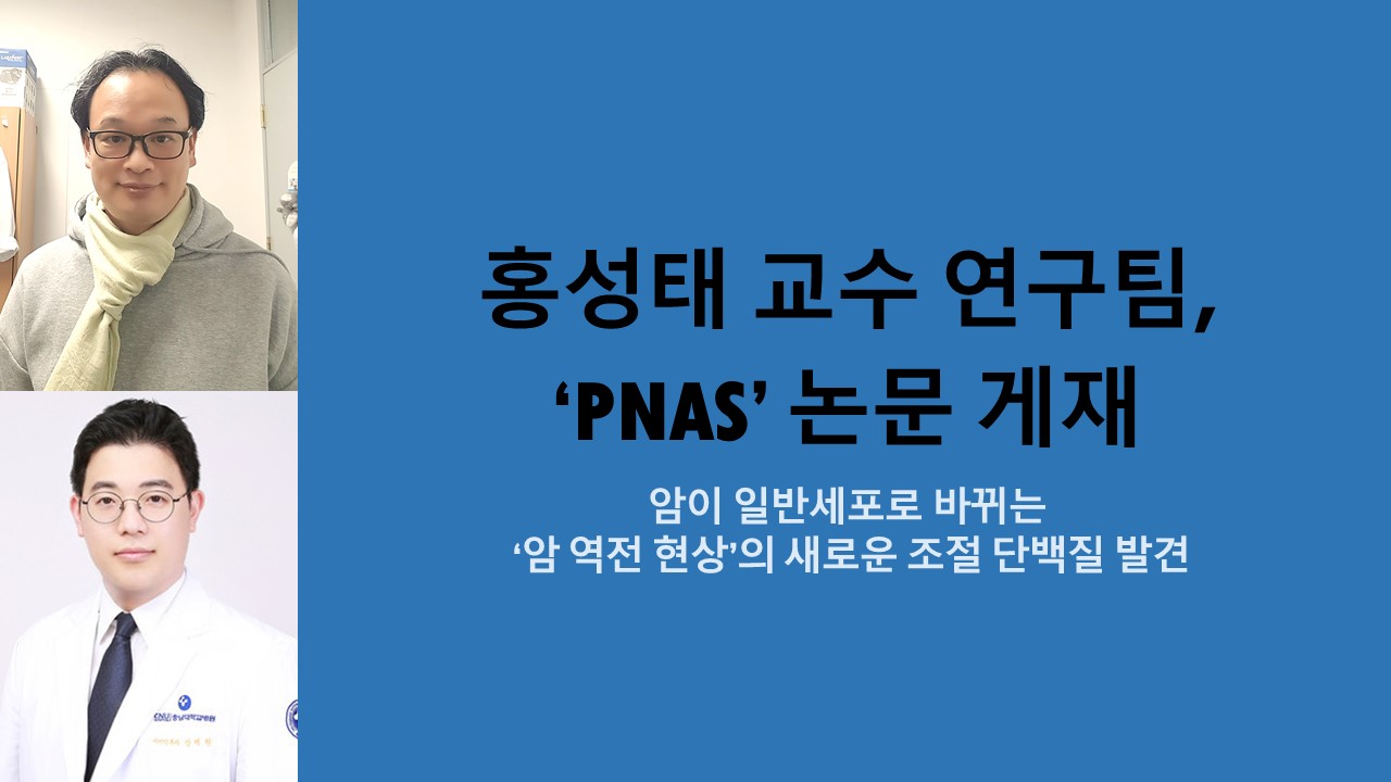 의과대학 홍성태 교수 연구팀, ‘PNAS’ 논문 게재 사진1