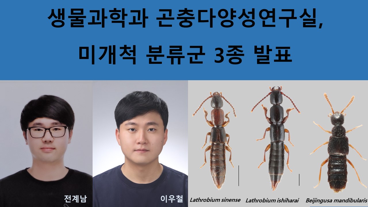 생물과학과 곤충다양성연구실, 미개척 분류군 3종 발표 사진1