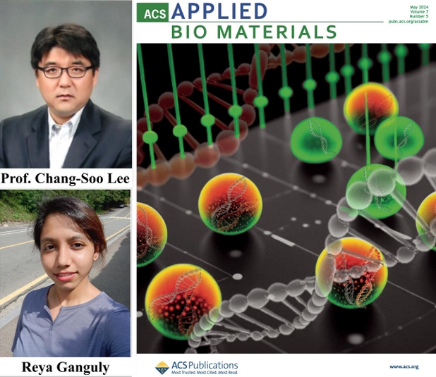 이창수 교수팀, ACS Applied Bio Materials 논문 게재 사진
