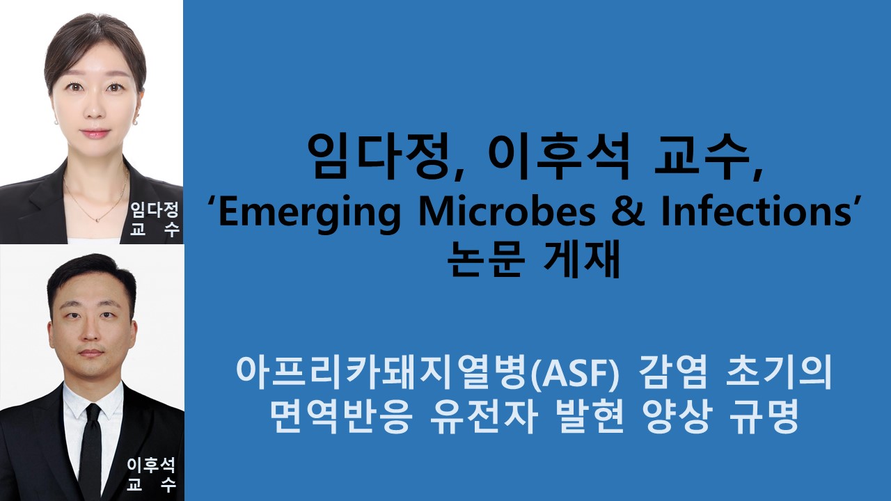 임다정, 이후석 교수 ‘Emerging Microbes & Infections’ 논문 게재 사진