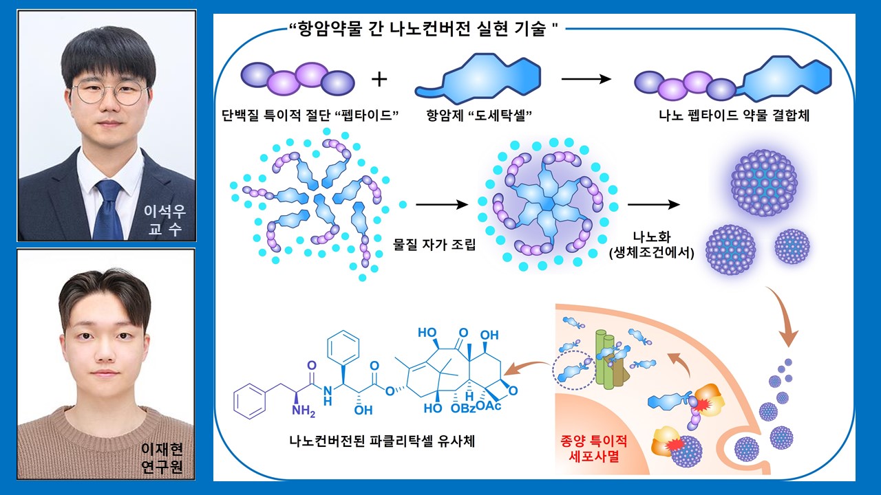 충남대-건국대 공동연구팀, 항암약물 간 나노컨버전 실현 신기술 개발 사진