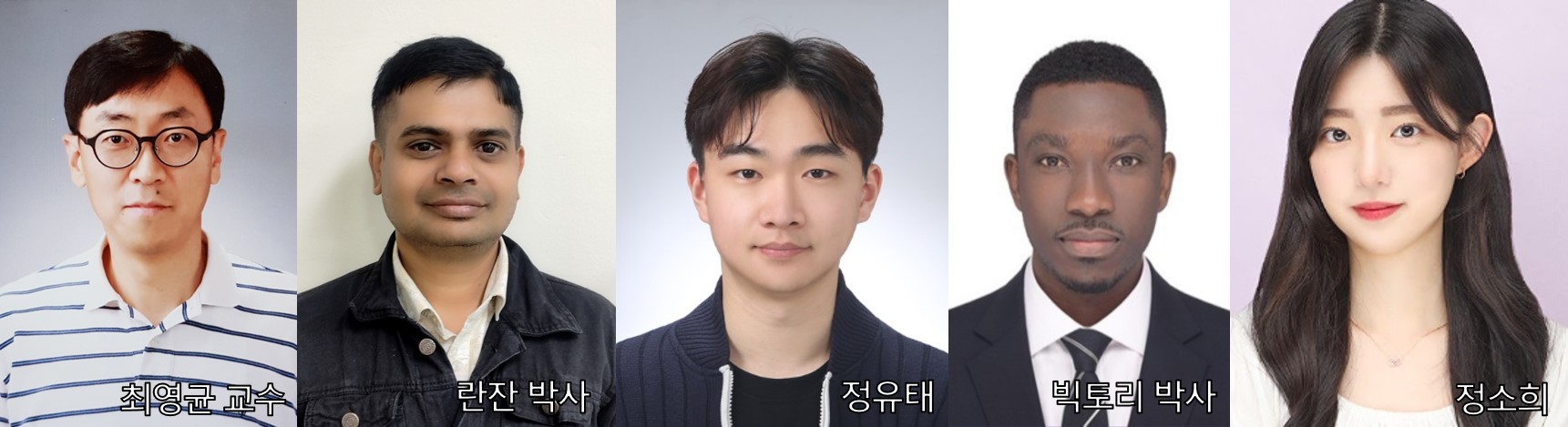 최영균 교수팀, 아나목스 그래뉼 효율 높이는 기술 개발 이미지