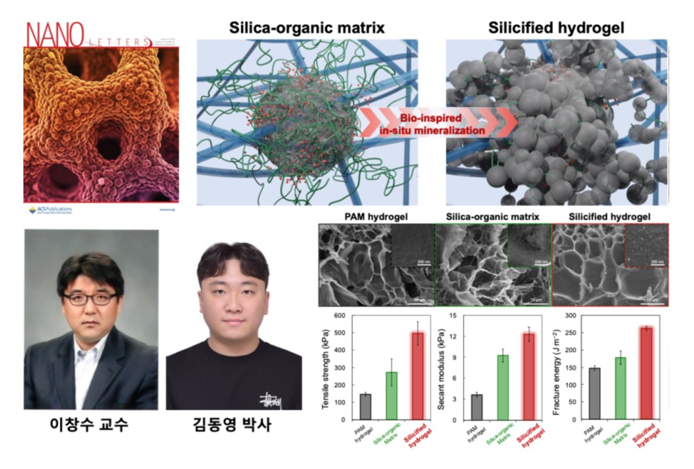 이창수 교수, 생체 모방 전략으로 차세대 고탄성 하이드로젤 개발 사진
