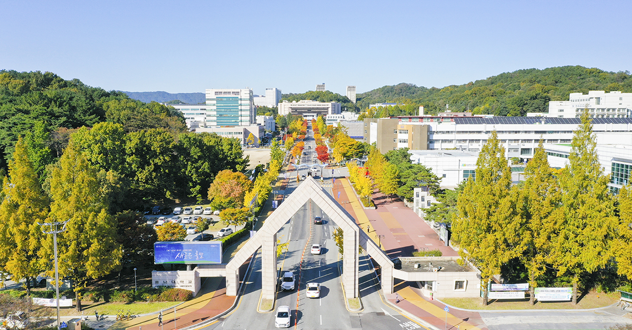 반도체 등 첨단분야 218명 증원
2021학년도 4개 첨단학과 136명 증원
2024학년도 반도체융합학과 50명  
에너지공학과 32명 추가 증원 이미지