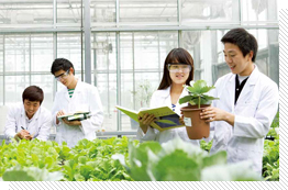 Agriculture and Life Sciences