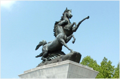 충남대학교를 상징하는 백마상 상단사진